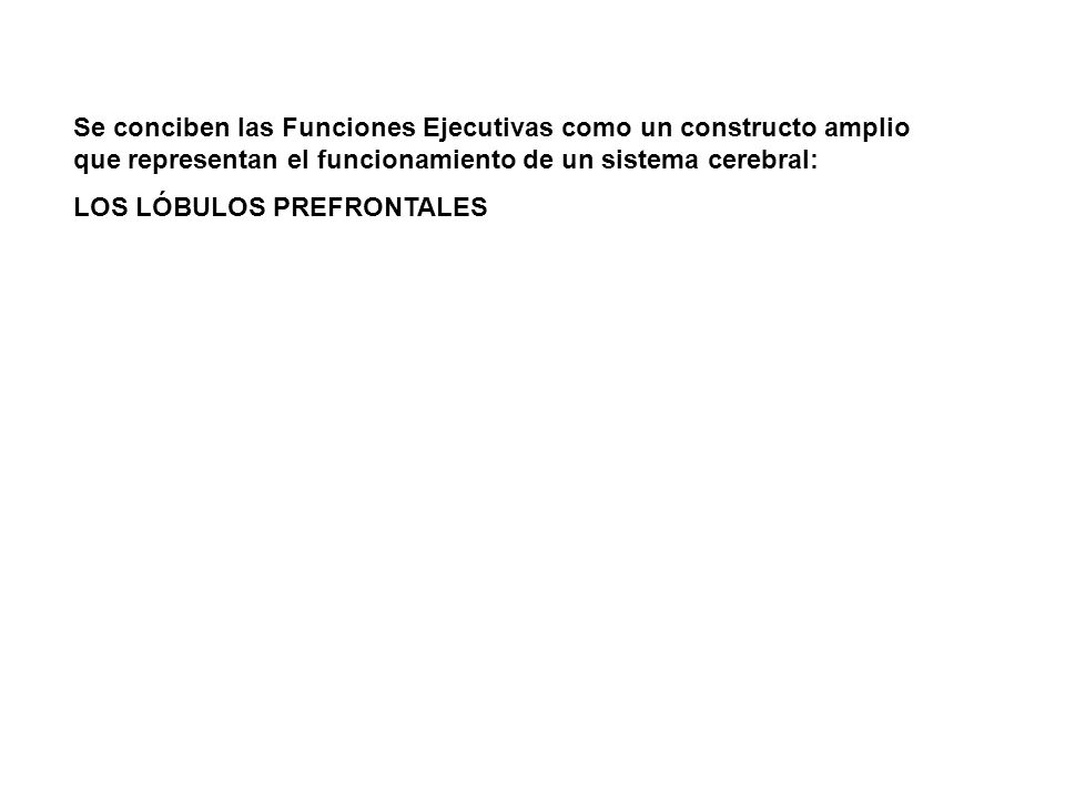 Se conciben las Funciones Ejecutivas como un constructo amplio que representan el funcionamiento de un sistema cerebral: