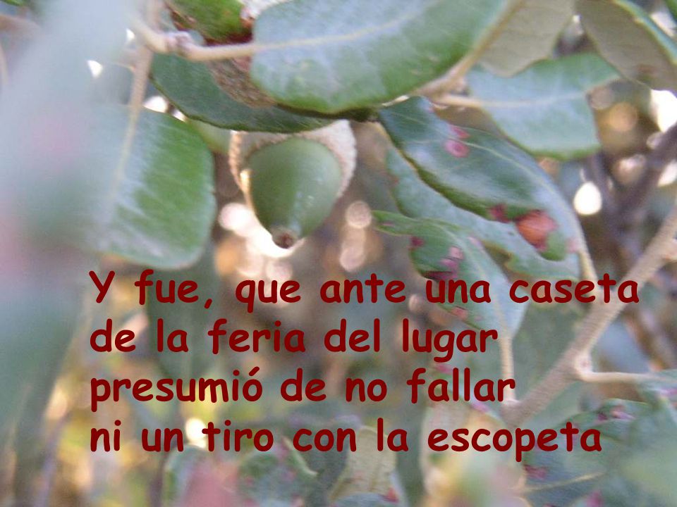 Y fue, que ante una caseta de la feria del lugar presumió de no fallar ni un tiro con la escopeta