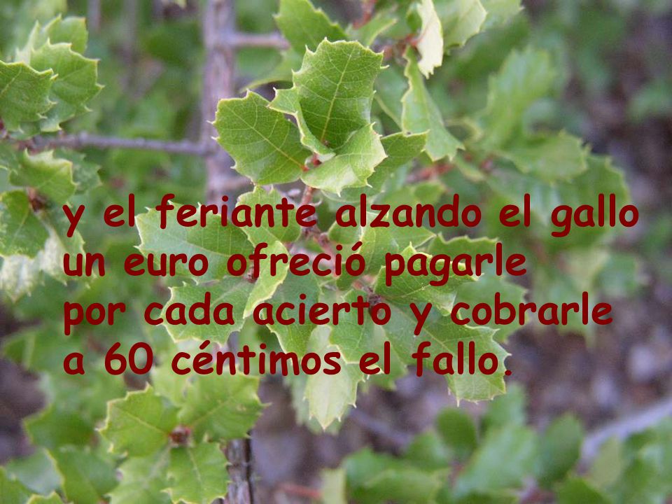 y el feriante alzando el gallo un euro ofreció pagarle por cada acierto y cobrarle a 60 céntimos el fallo.