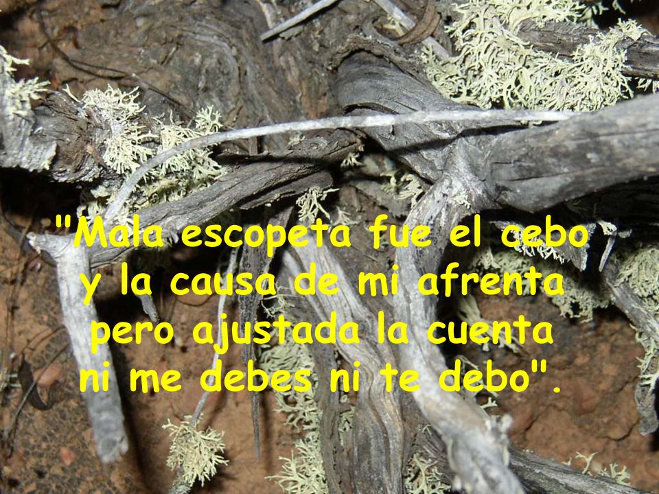 Mala escopeta fue el cebo y la causa de mi afrenta pero ajustada la cuenta ni me debes ni te debo .