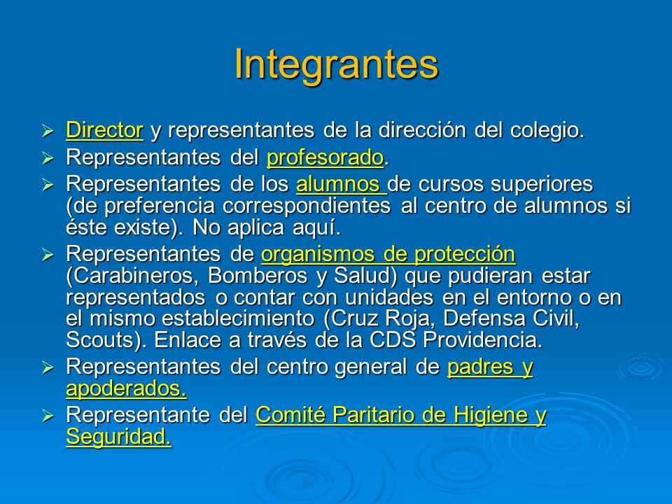 Integrantes Director y representantes de la dirección del colegio.