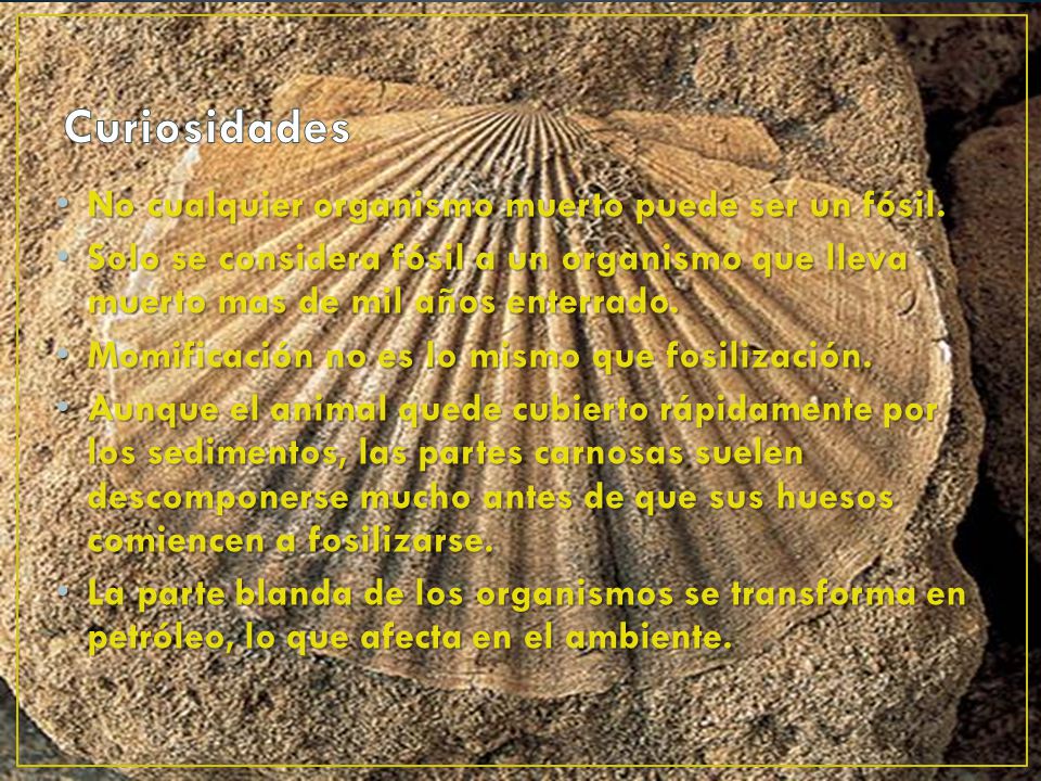 Curiosidades No cualquier organismo muerto puede ser un fósil.