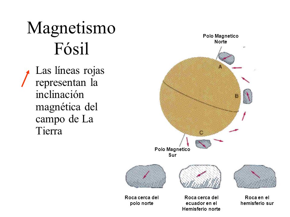 Magnetismo Fósil Polo Magnetico Norte. Las líneas rojas representan la inclinación magnética del campo de La Tierra.