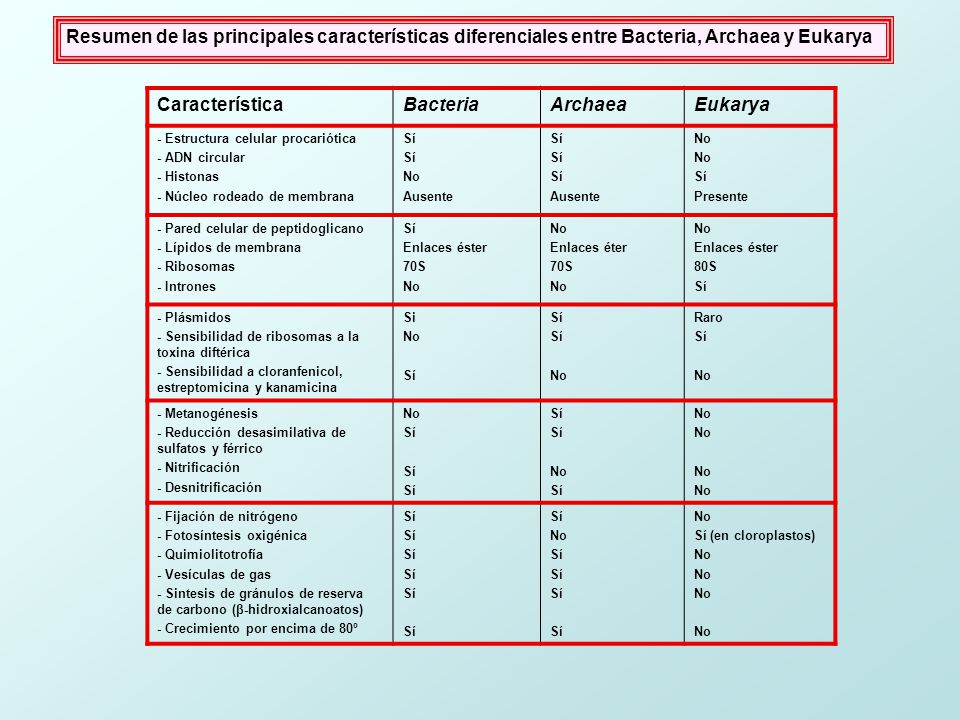 Resumen de las principales características diferenciales entre Bacteria, Archaea y Eukarya