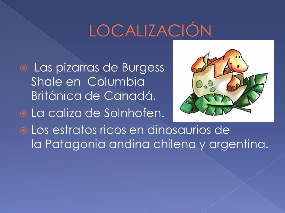 LOCALIZACIÓN Las pizarras de Burgess Shale en Columbia Británica de Canadá. La caliza de Solnhofen.
