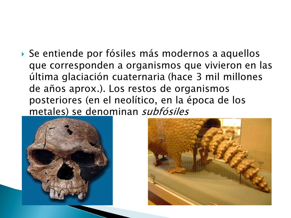 Se entiende por fósiles más modernos a aquellos que corresponden a organismos que vivieron en las última glaciación cuaternaria (hace 3 mil millones de años aprox.).