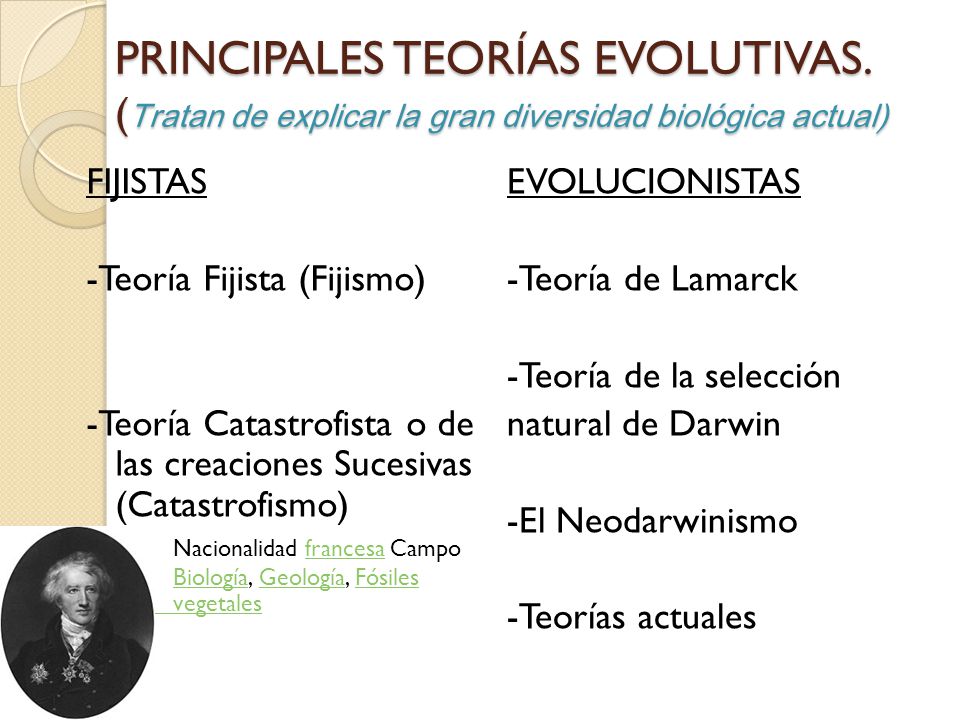 PRINCIPALES TEORÍAS EVOLUTIVAS