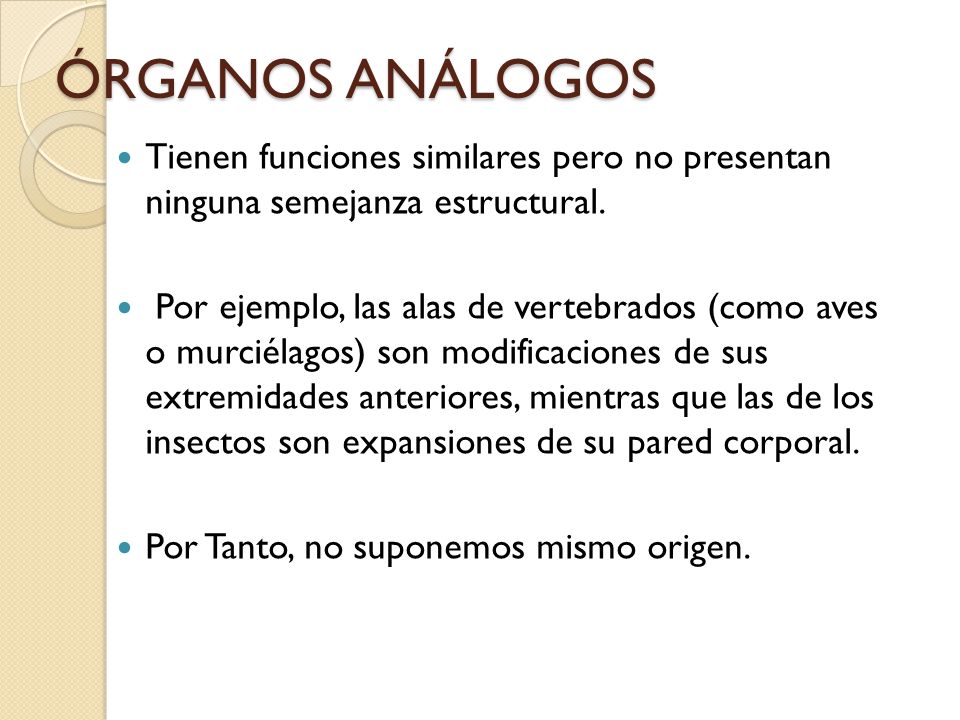ÓRGANOS ANÁLOGOS Tienen funciones similares pero no presentan ninguna semejanza estructural.