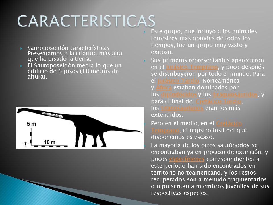 CARACTERISTICAS Este grupo, que incluyó a los animales terrestres más grandes de todos los tiempos, fue un grupo muy vasto y exitoso.