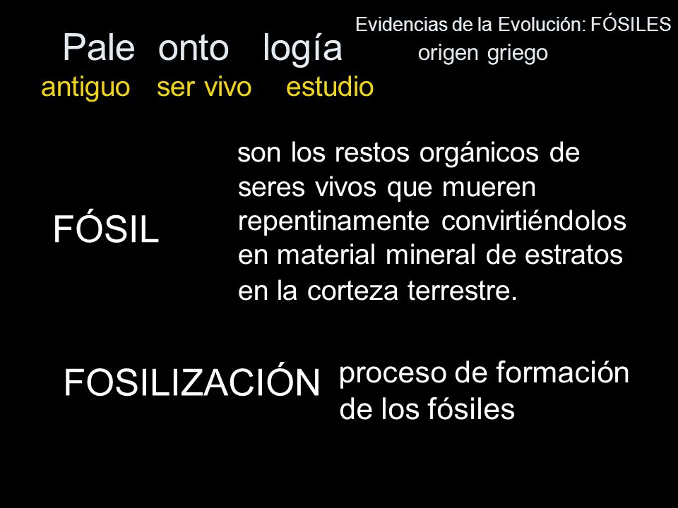 Pale onto logía origen griego antiguo ser vivo estudio