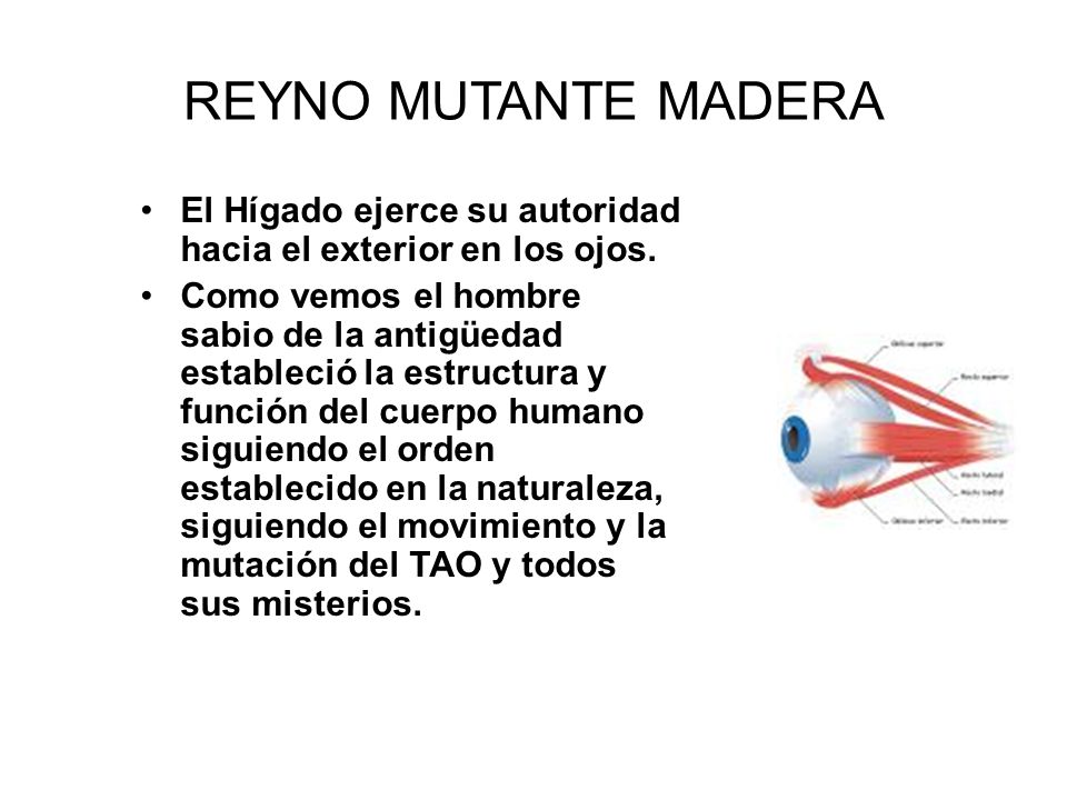 REYNO MUTANTE MADERA El Hígado ejerce su autoridad hacia el exterior en los ojos.