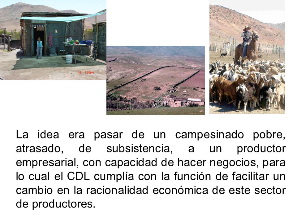 La idea era pasar de un campesinado pobre, atrasado, de subsistencia, a un productor empresarial, con capacidad de hacer negocios, para lo cual el CDL cumplía con la función de facilitar un cambio en la racionalidad económica de este sector de productores.