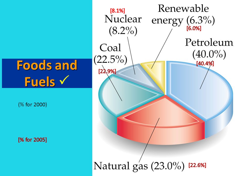 Foods and Fuels  [8.1%] [6.0%] [40.4%] [22.9%] (% for 2000)