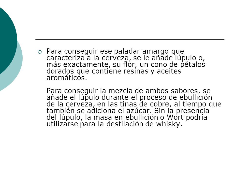 Para conseguir ese paladar amargo que caracteriza a la cerveza, se le añade lúpulo o, más exactamente, su flor, un cono de pétalos dorados que contiene resinas y aceites aromáticos.