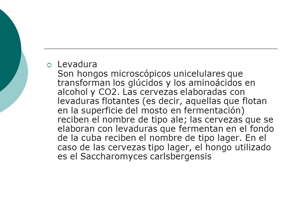Levadura Son hongos microscópicos unicelulares que transforman los glúcidos y los aminoácidos en alcohol y CO2.