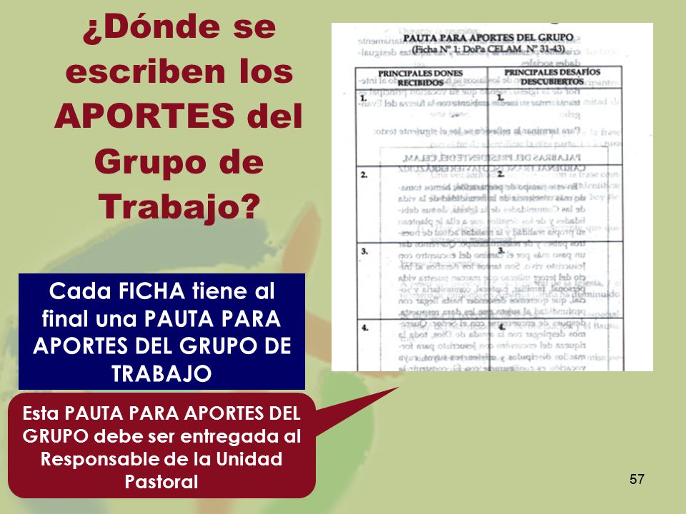 Cada FICHA tiene al final una PAUTA PARA APORTES DEL GRUPO DE TRABAJO