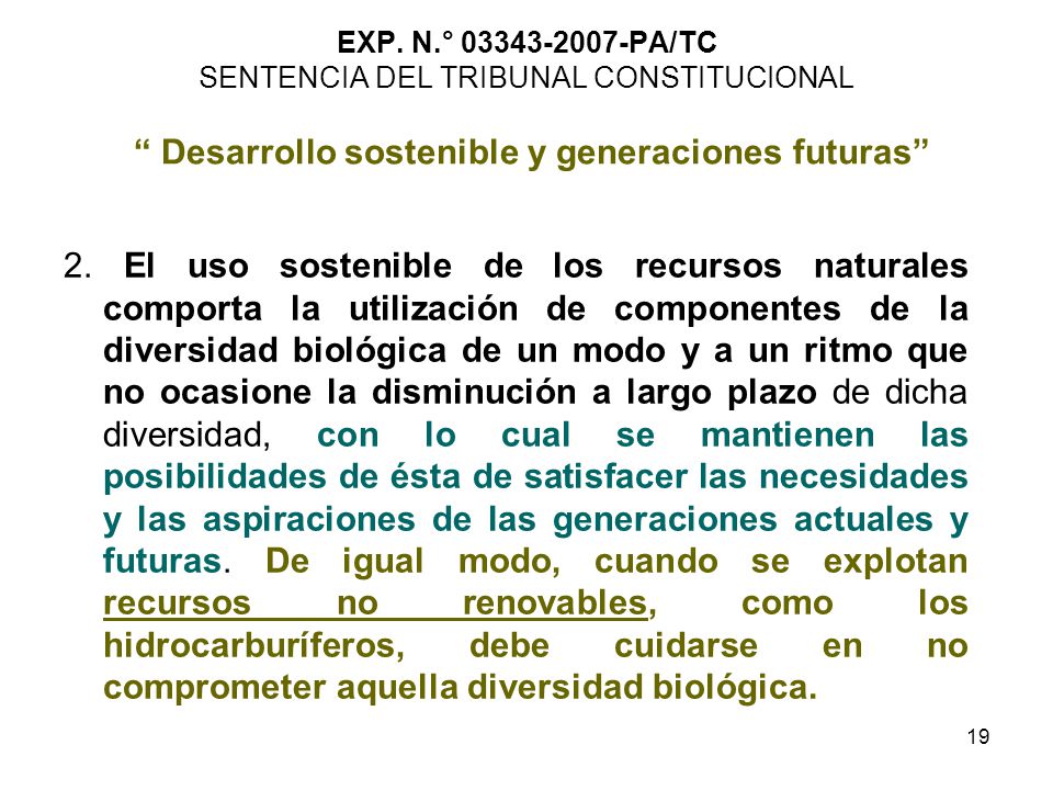 EXP. N.° PA/TC SENTENCIA DEL TRIBUNAL CONSTITUCIONAL Desarrollo sostenible y generaciones futuras