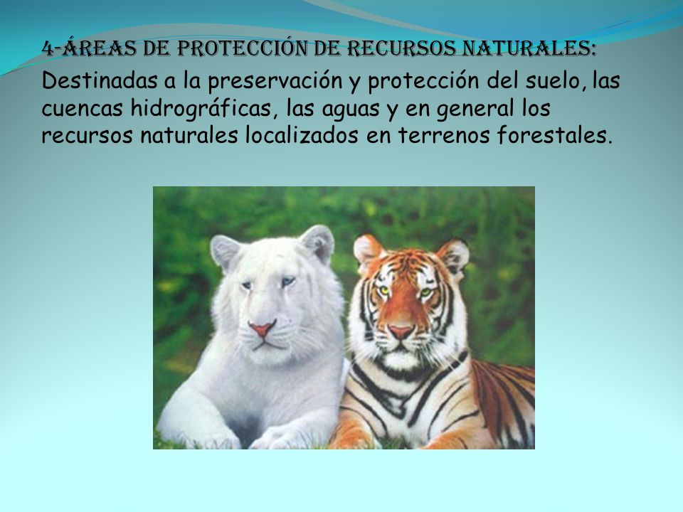 4-Áreas de PROTECCIÓN DE REcursos naturales: Destinadas a la preservación y protección del suelo, las cuencas hidrográficas, las aguas y en general los recursos naturales localizados en terrenos forestales.