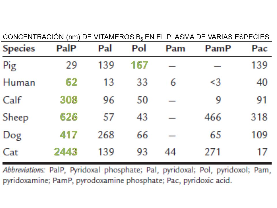 CONCENTRACIÓN (nm) DE VITAMEROS B6 EN EL PLASMA DE VARIAS ESPECIES