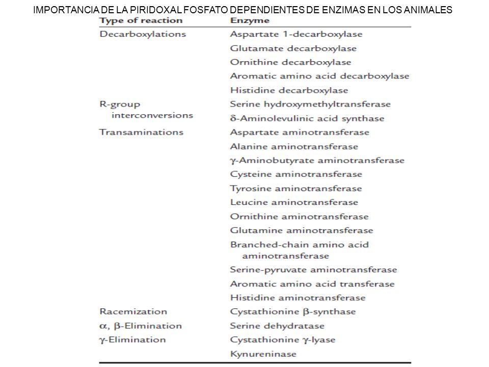 IMPORTANCIA DE LA PIRIDOXAL FOSFATO DEPENDIENTES DE ENZIMAS EN LOS ANIMALES