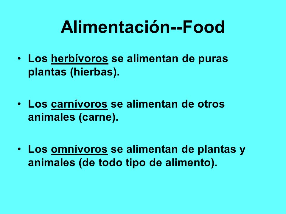 Alimentación--Food Los herbívoros se alimentan de puras plantas (hierbas). Los carnívoros se alimentan de otros animales (carne).