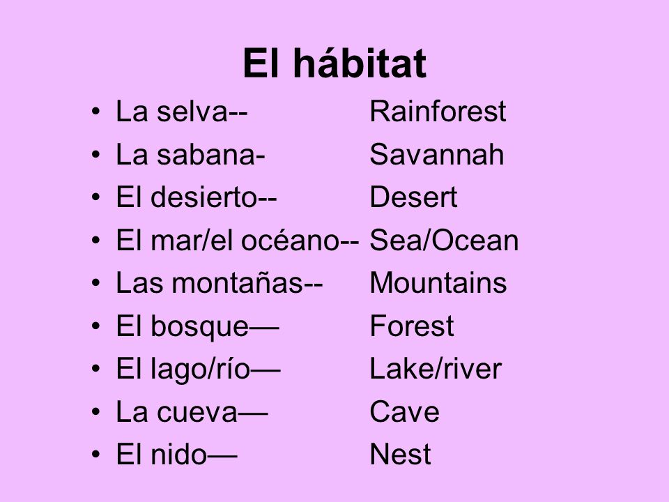 El hábitat La selva-- La sabana- El desierto-- El mar/el océano--