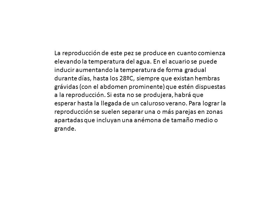 La reproducción de este pez se produce en cuanto comienza elevando la temperatura del agua.