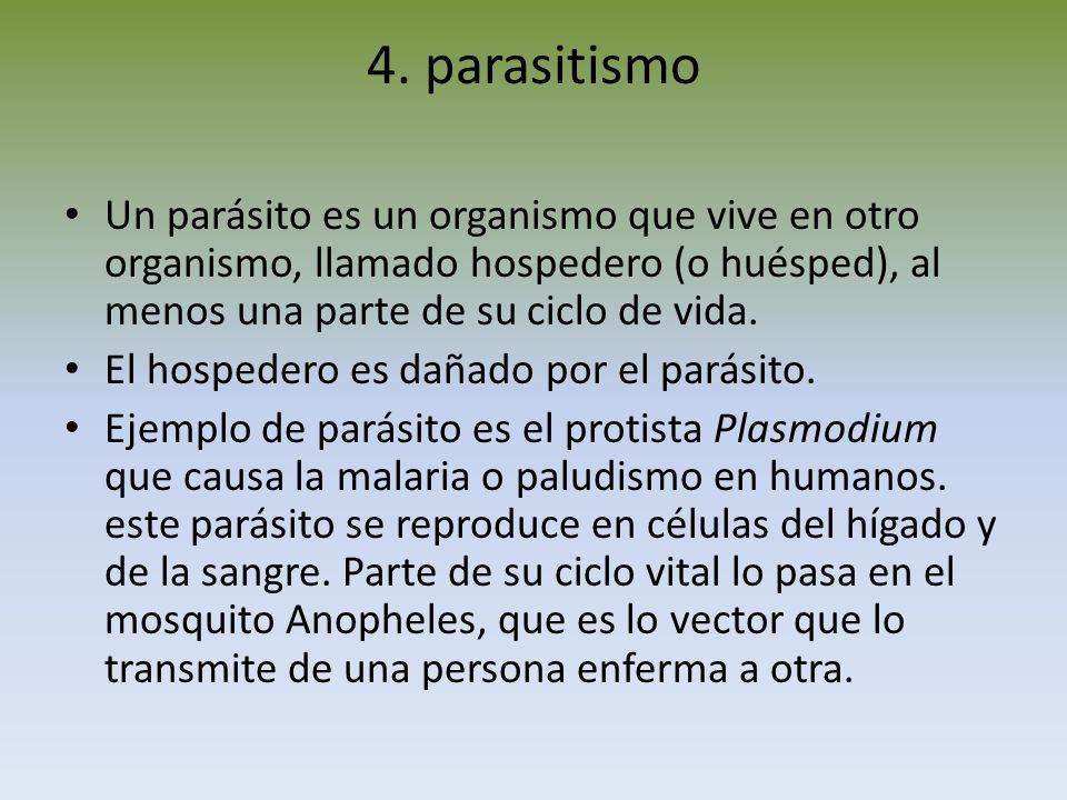 4. parasitismo Un parásito es un organismo que vive en otro organismo, llamado hospedero (o huésped), al menos una parte de su ciclo de vida.