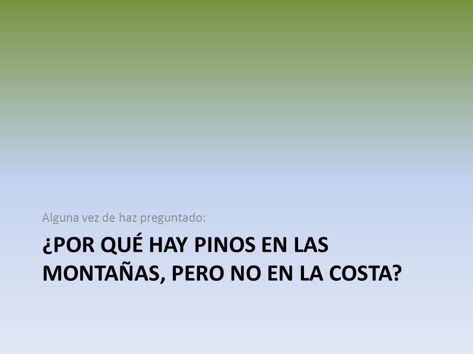 ¿Por qué hay pinos en las montañas, pero no en la costa