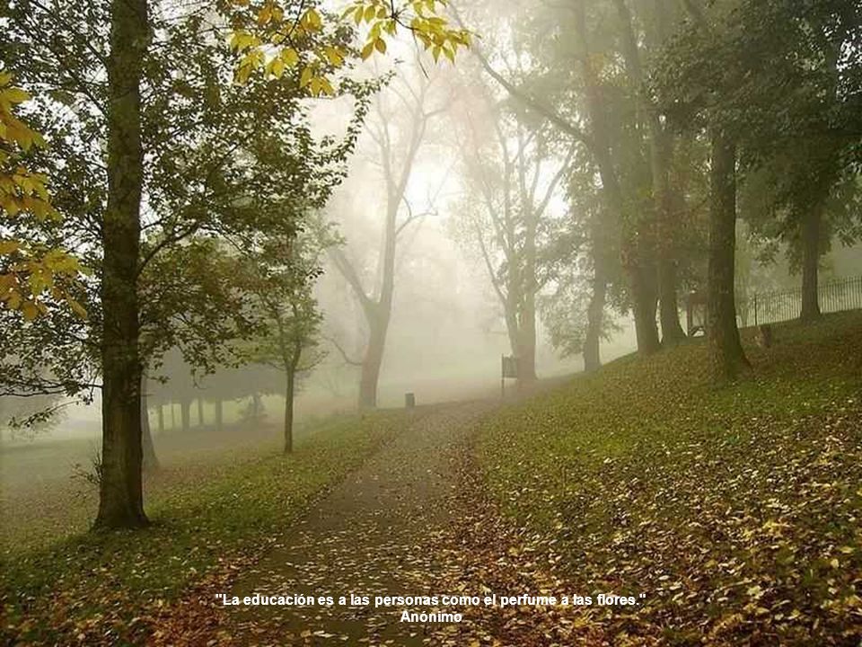 La educación es a las personas como el perfume a las flores.