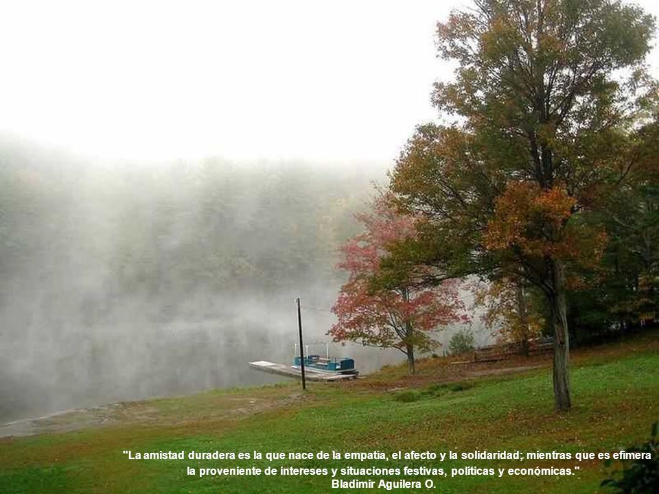 La amistad duradera es la que nace de la empatía, el afecto y la solidaridad; mientras que es efímera la proveniente de intereses y situaciones festivas, políticas y económicas.