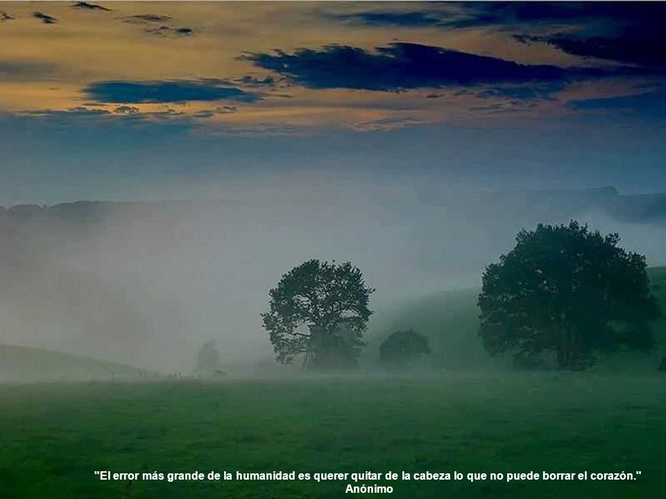 El error más grande de la humanidad es querer quitar de la cabeza lo que no puede borrar el corazón.