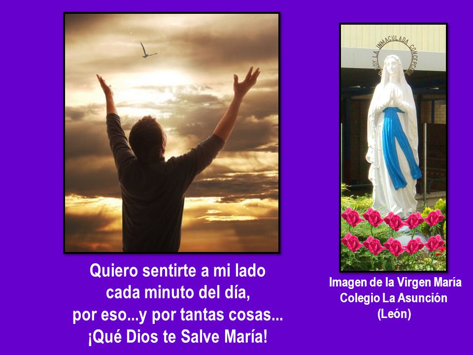 Quiero sentirte a mi lado cada minuto del día,