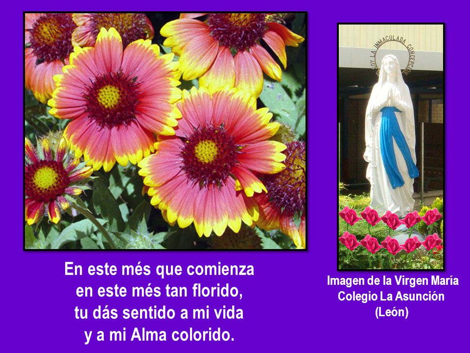 En este més que comienza Imagen de la Virgen María
