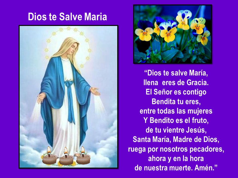 Dios te Salve Maria Dios te salve María, llena eres de Gracia.