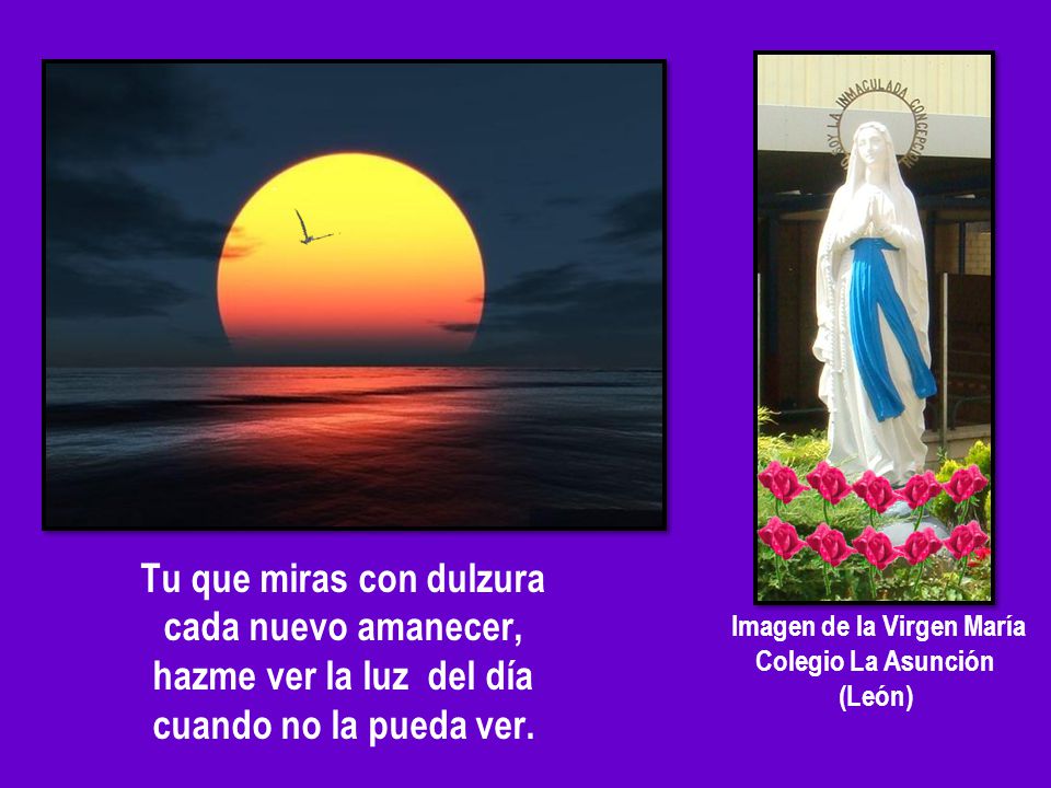 Tu que miras con dulzura Imagen de la Virgen María