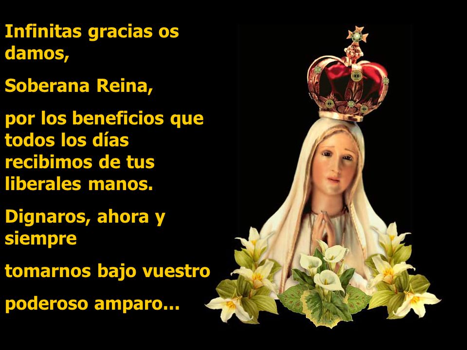 Infinitas gracias os damos,