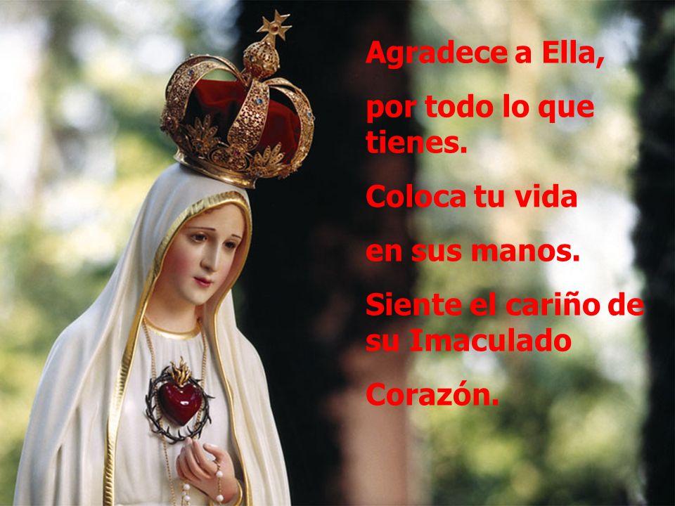 Agradece a Ella, por todo lo que tienes. Coloca tu vida. en sus manos. Siente el cariño de su Imaculado.
