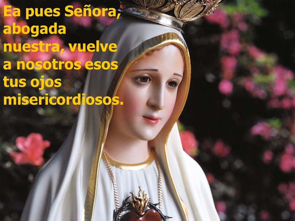 Ea pues Señora, abogada nuestra, vuelve a nosotros esos tus ojos misericordiosos.
