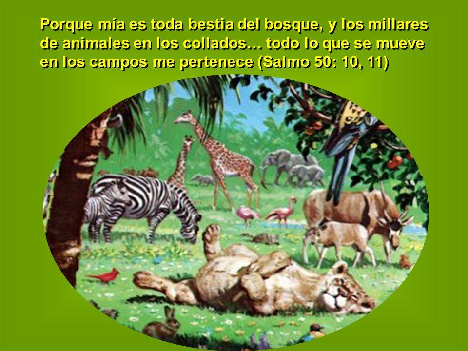 Porque mía es toda bestia del bosque, y los millares de animales en los collados… todo lo que se mueve en los campos me pertenece (Salmo 50: 10, 11)