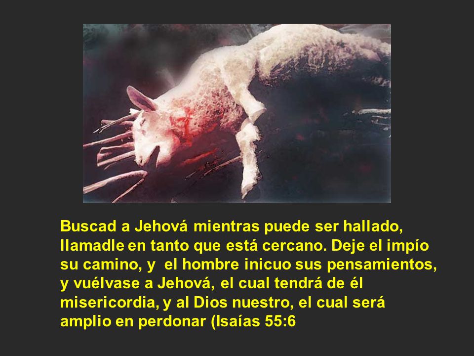 Buscad a Jehová mientras puede ser hallado, llamadle en tanto que está cercano.