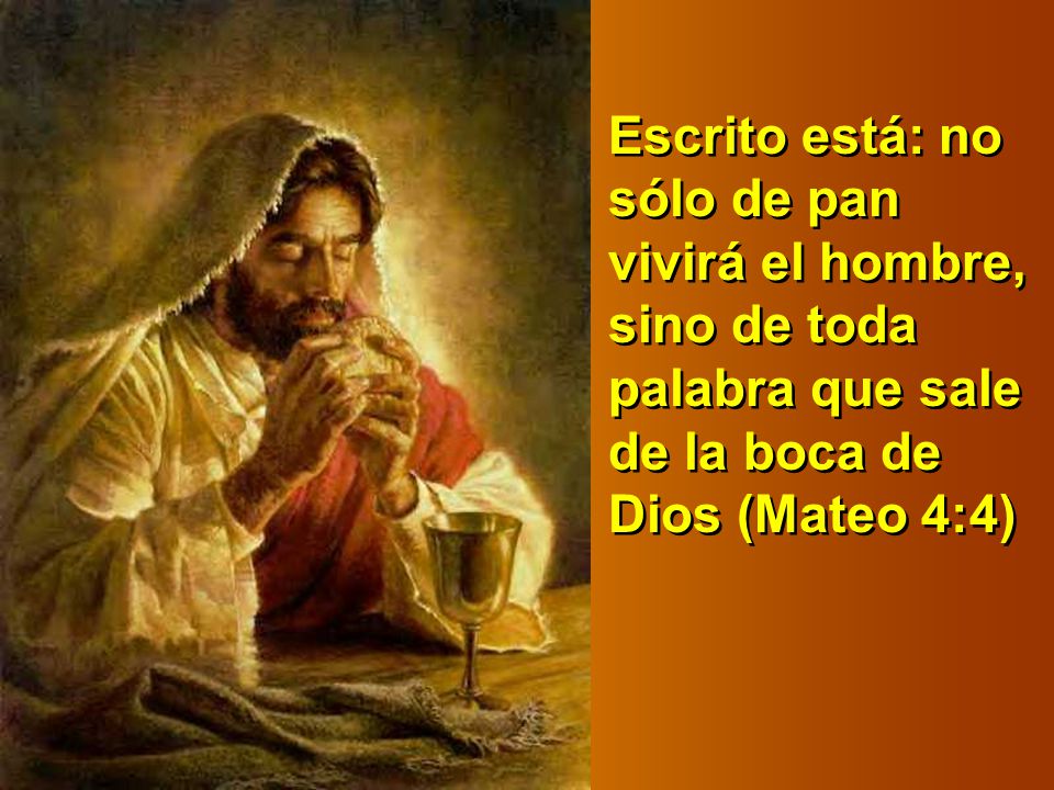 Escrito está: no sólo de pan vivirá el hombre, sino de toda palabra que sale de la boca de Dios (Mateo 4:4)