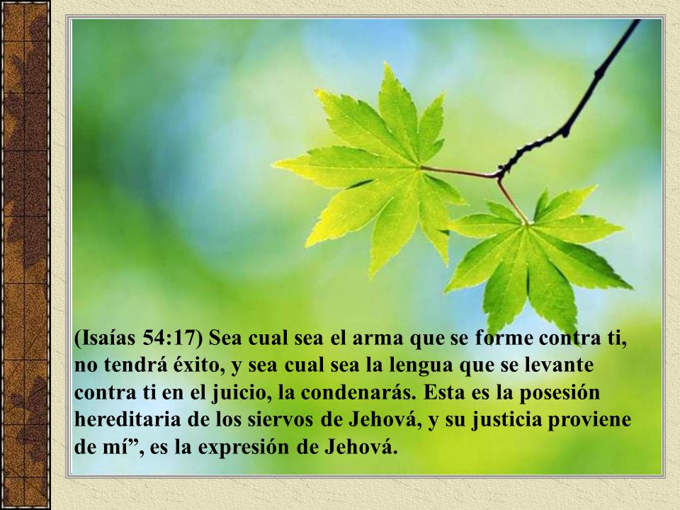 (Isaías 54:17) Sea cual sea el arma que se forme contra ti, no tendrá éxito, y sea cual sea la lengua que se levante contra ti en el juicio, la condenarás.