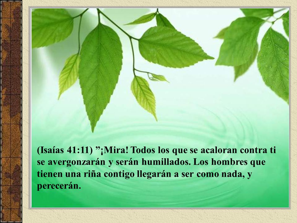(Isaías 41:11) ¡Mira. Todos los que se acaloran contra ti se avergonzarán y serán humillados.