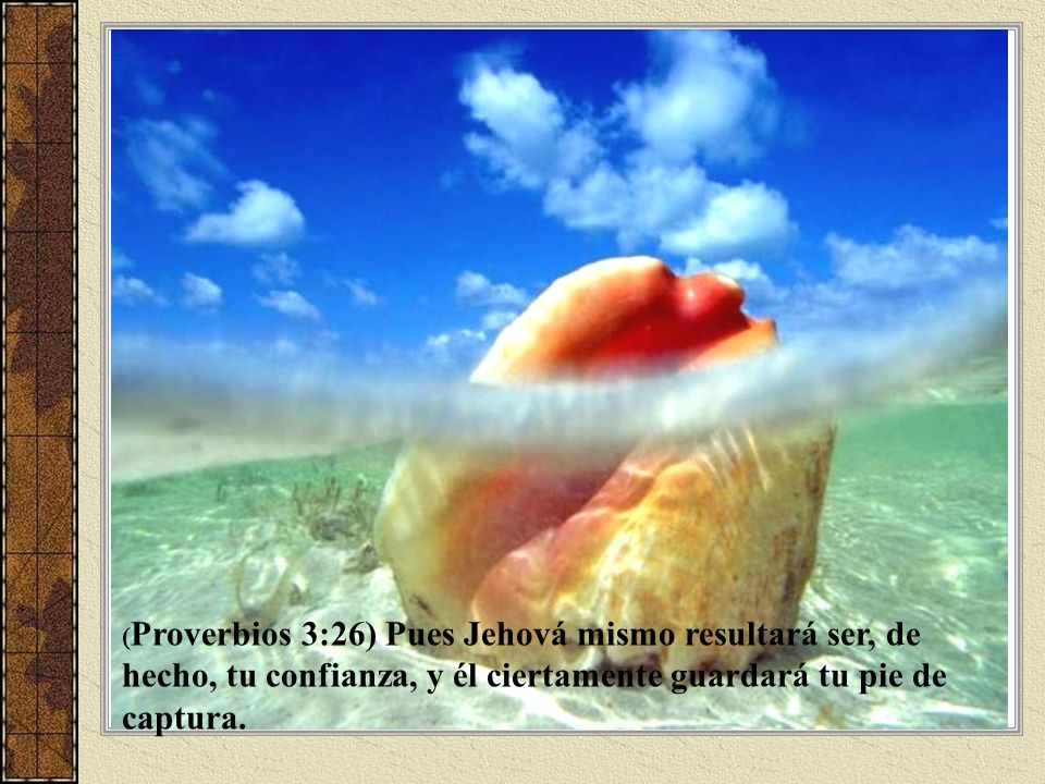 (Proverbios 3:26) Pues Jehová mismo resultará ser, de hecho, tu confianza, y él ciertamente guardará tu pie de captura.