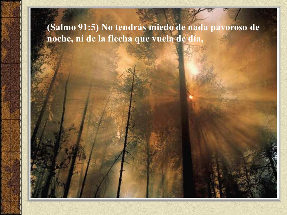 (Salmo 91:5) No tendrás miedo de nada pavoroso de noche, ni de la flecha que vuela de día,