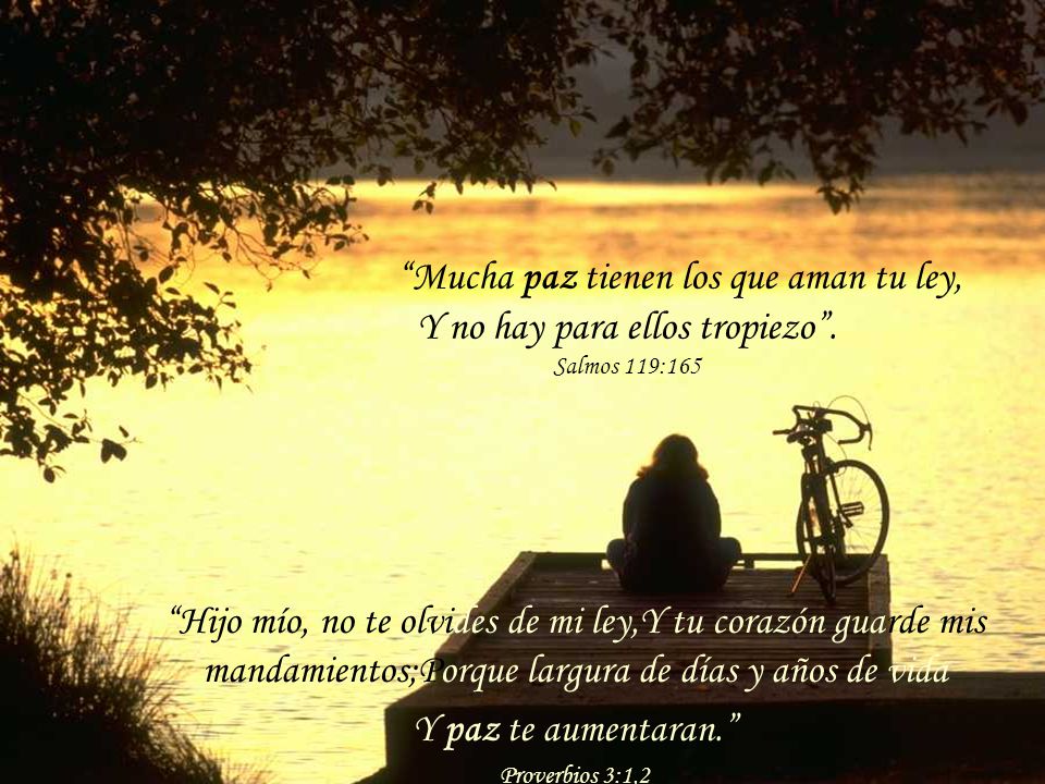 Mucha paz tienen los que aman tu ley, Y no hay para ellos tropiezo
