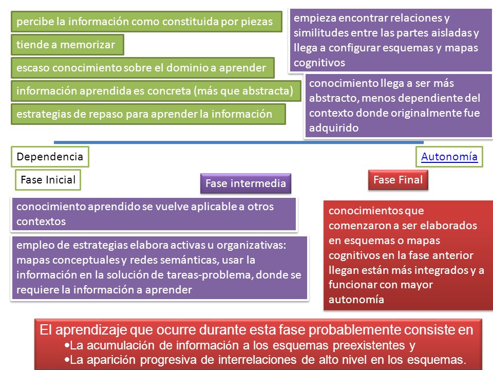 El aprendizaje que ocurre durante esta fase probablemente consiste en