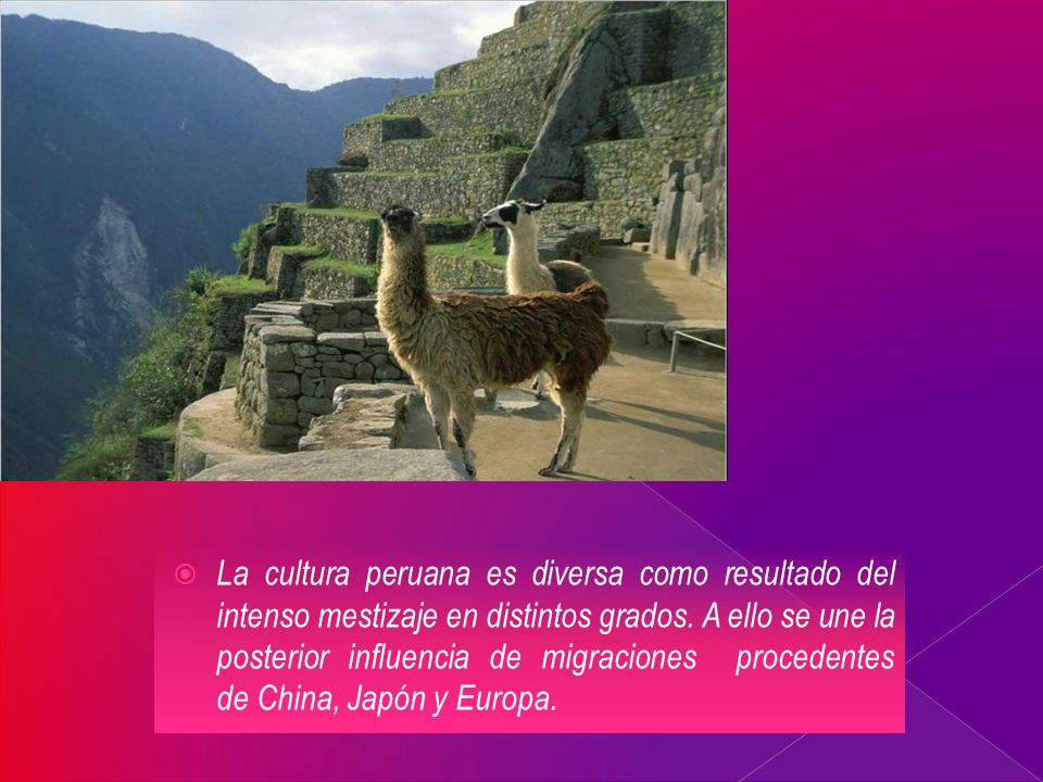 La cultura peruana es diversa como resultado del intenso mestizaje en distintos grados.