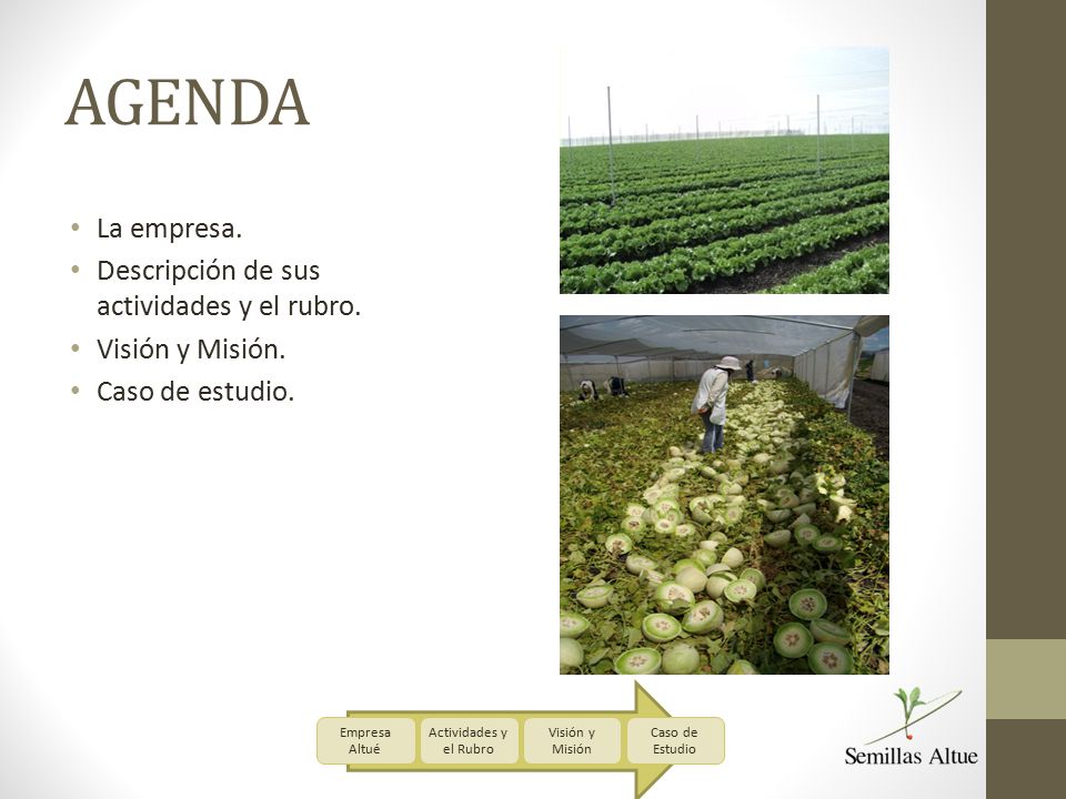 AGENDA La empresa. Descripción de sus actividades y el rubro.